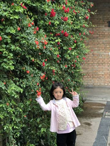 journal_insert_pic_1224907722