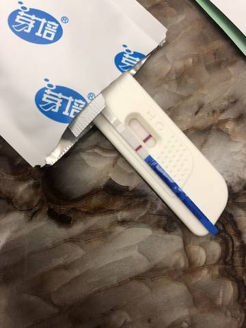 journal_insert_pic_1224484655