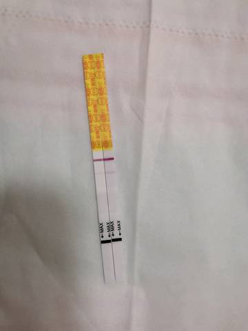 journal_insert_pic_1224438606