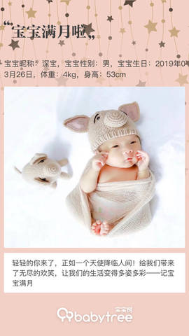 journal_insert_pic_1224347558