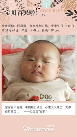 journal_insert_pic_1225085053