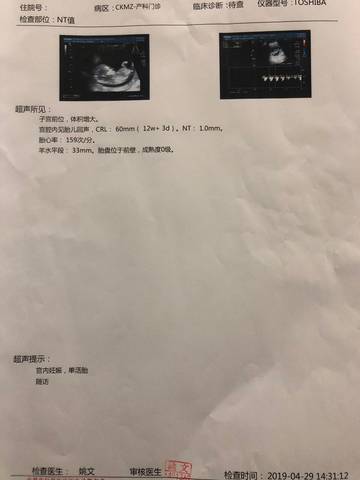 journal_insert_pic_1225973807