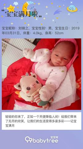 journal_insert_pic_1225645260