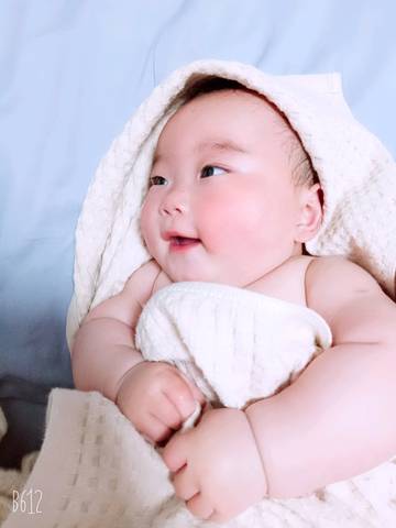 journal_insert_pic_1225673541