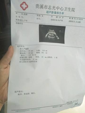 journal_insert_pic_1226309529