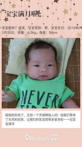 journal_insert_pic_1226587064