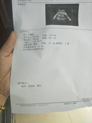 journal_insert_pic_1226309519
