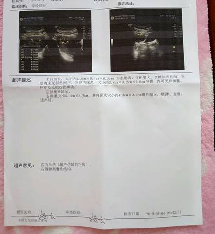 journal_insert_pic_1228859456