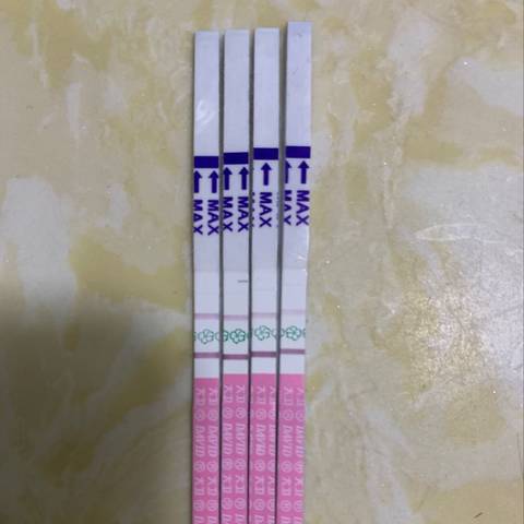 journal_insert_pic_1229341001