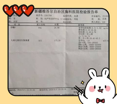 journal_insert_pic_1230146894