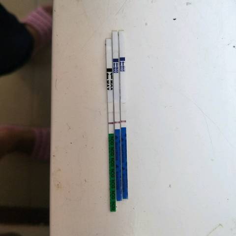 journal_insert_pic_1229558353