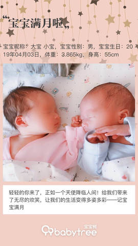 journal_insert_pic_1229781649