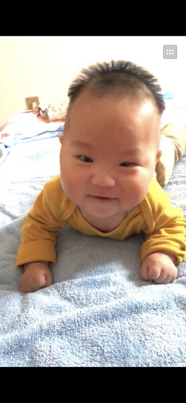 不老实