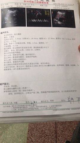 journal_insert_pic_1230358409