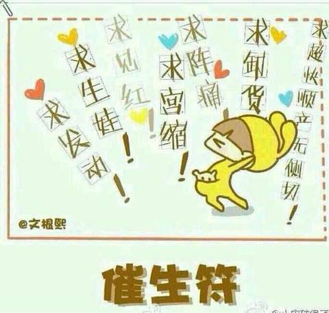 journal_insert_pic_1230556685