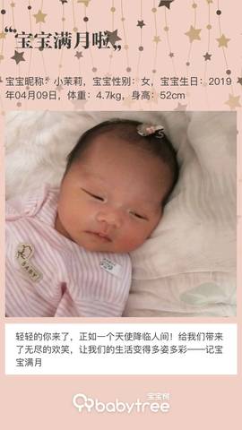 journal_insert_pic_1231917202