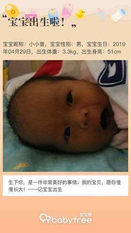 journal_insert_pic_1231598241