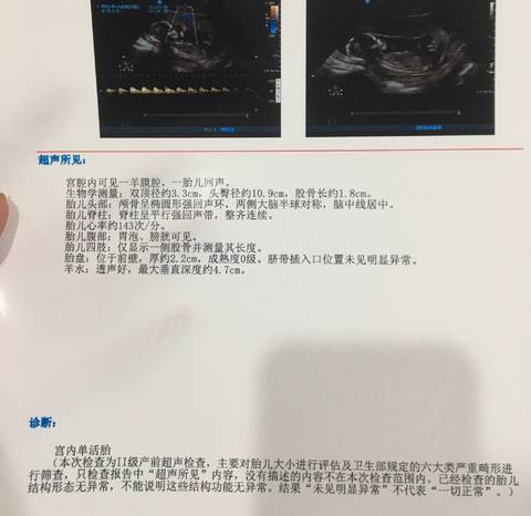 journal_insert_pic_1231727379