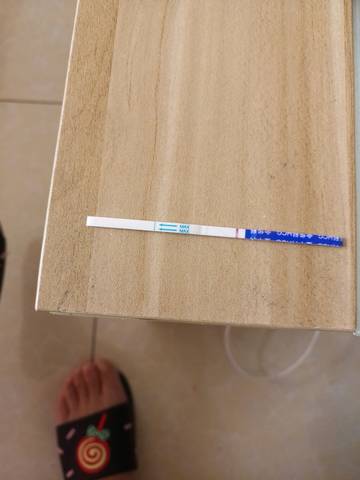 journal_insert_pic_1231863619