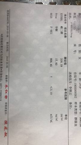 journal_insert_pic_1231850777