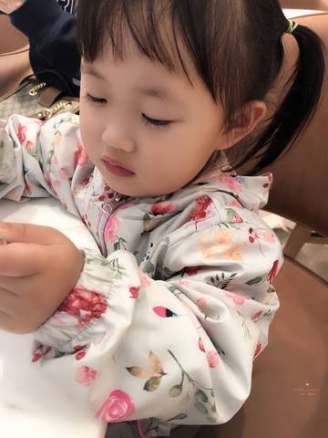 journal_insert_pic_1232401439