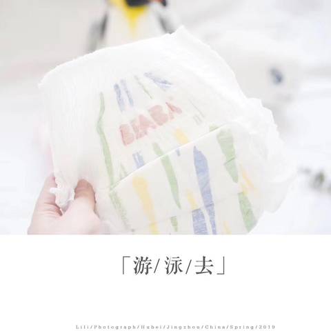 journal_insert_pic_1232399622
