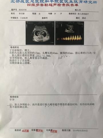 journal_insert_pic_1232411400