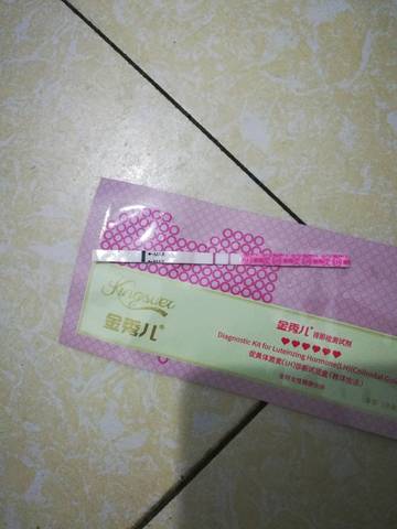journal_insert_pic_1232646884