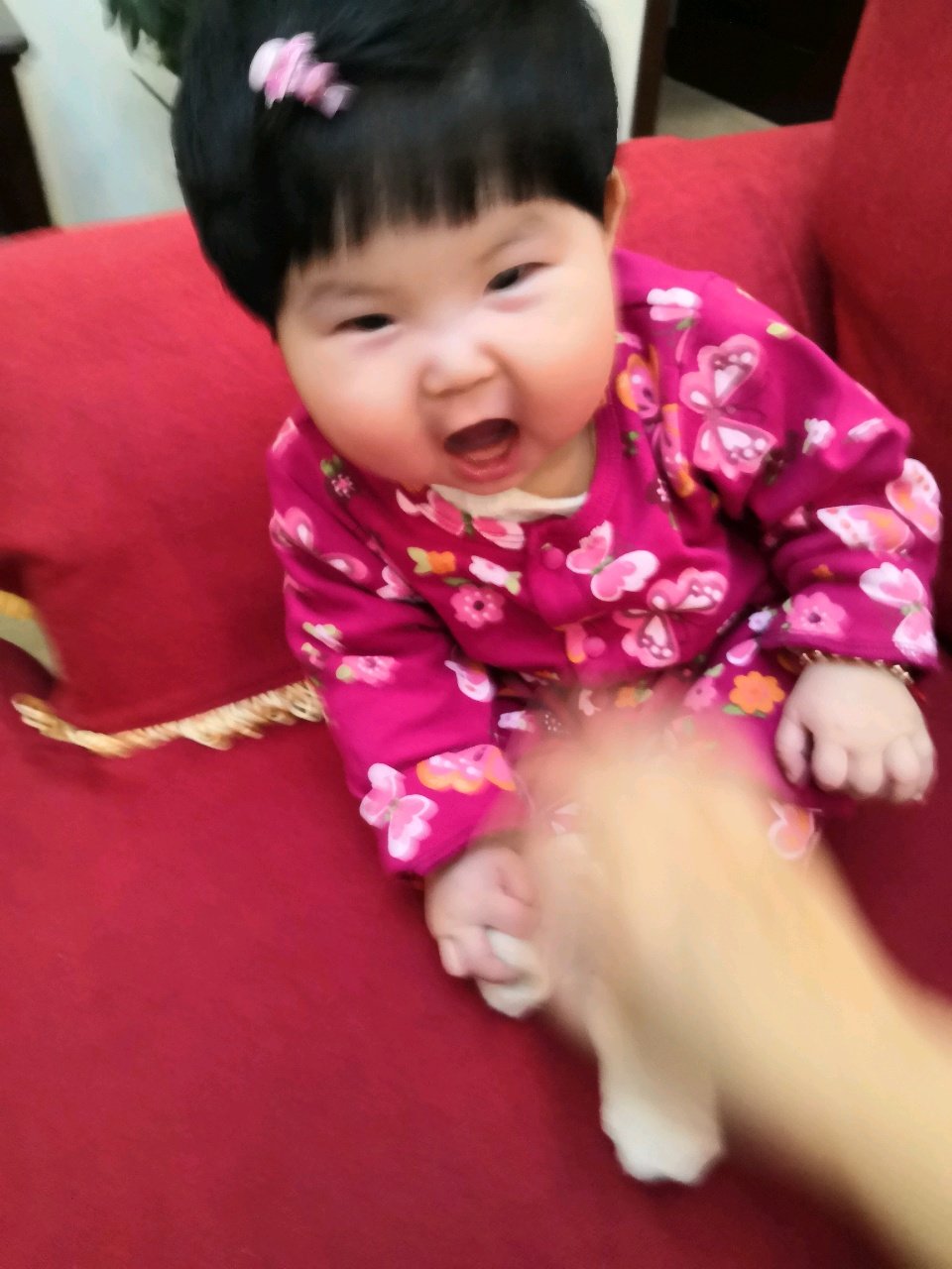 老妈一来上班就立刻想念你，老妈爱你哟
