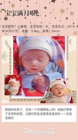 journal_insert_pic_1232780699