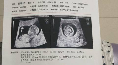 journal_insert_pic_1233059208