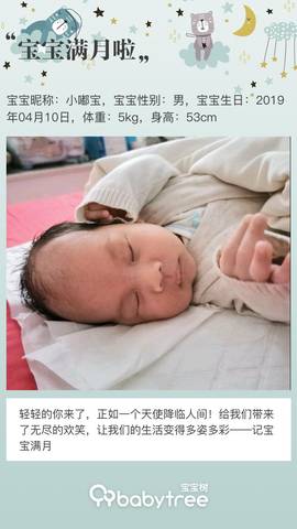 journal_insert_pic_1233900146