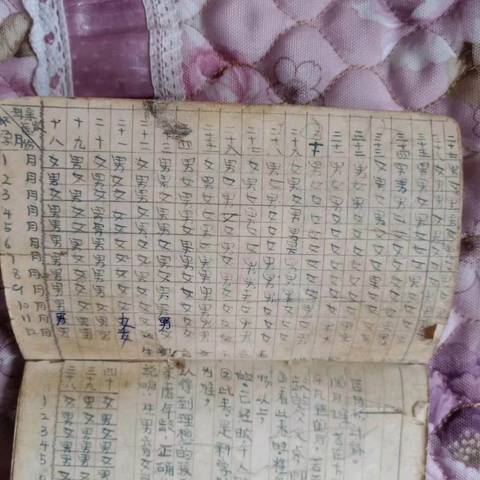 journal_insert_pic_1234263497