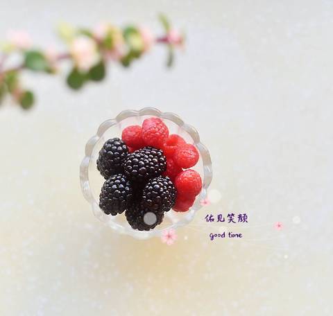 journal_insert_pic_1234672313