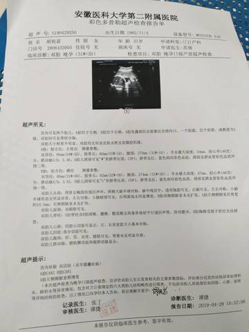 journal_insert_pic_1234929296