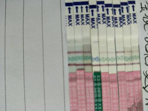 journal_insert_pic_1235262507