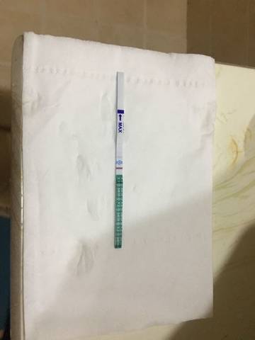journal_insert_pic_1235923634