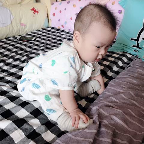 journal_insert_pic_1237403017