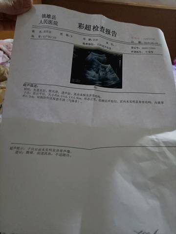 journal_insert_pic_1237804324