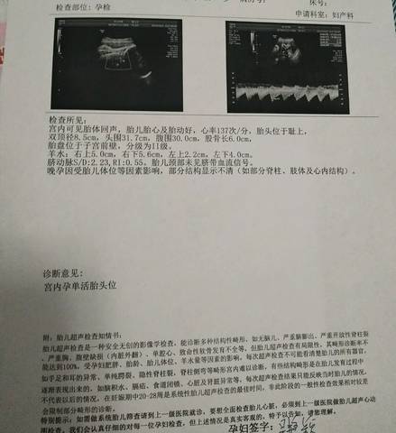 journal_insert_pic_1238648192
