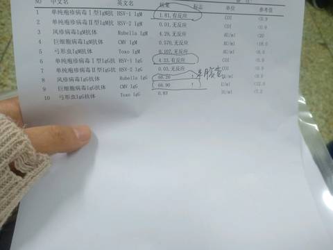 journal_insert_pic_1239034654