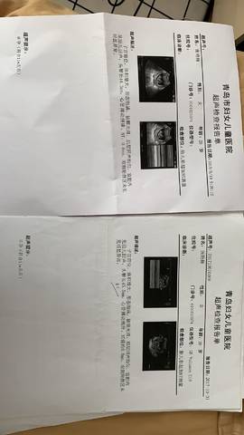 journal_insert_pic_1239177807