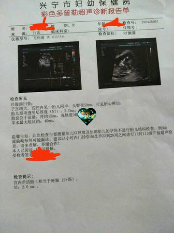 journal_insert_pic_1239265588