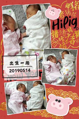 journal_insert_pic_1239202337