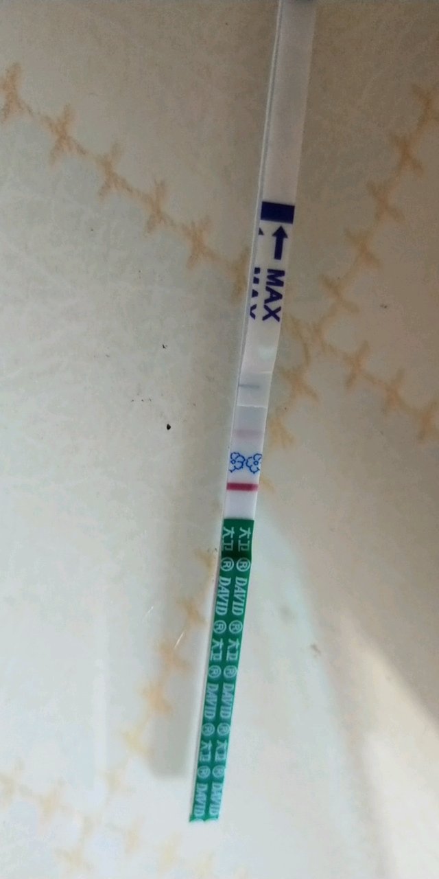 不知道是不是二胎来了
