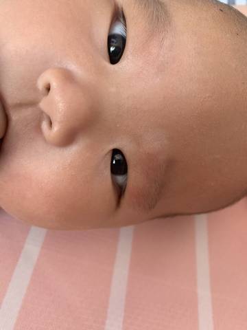 journal_insert_pic_1291707226