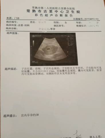 journal_insert_pic_1292594445