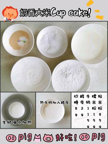journal_insert_pic_1296508647