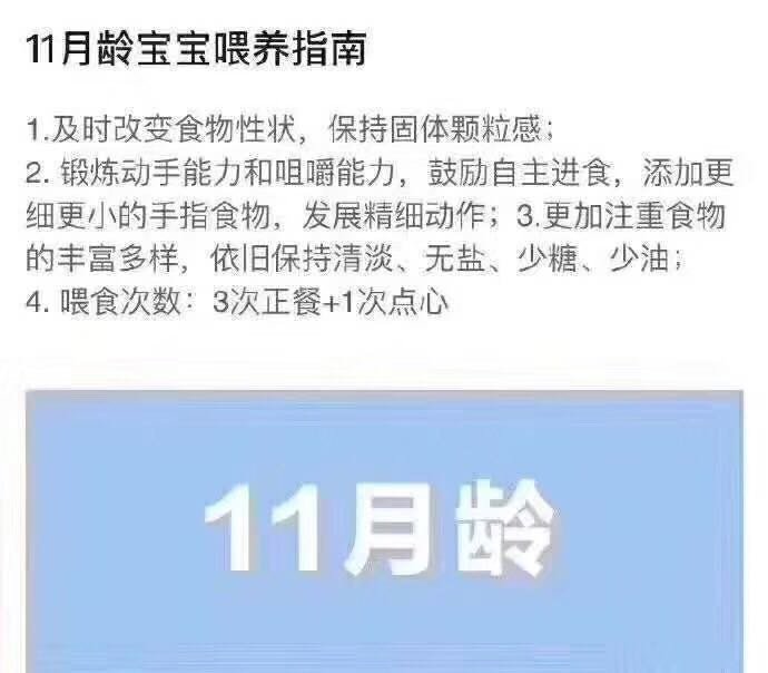 6--24月辅食喂养指南