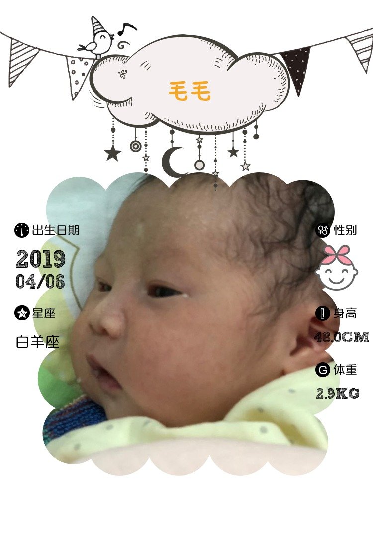 【报喜】毛毛出生了